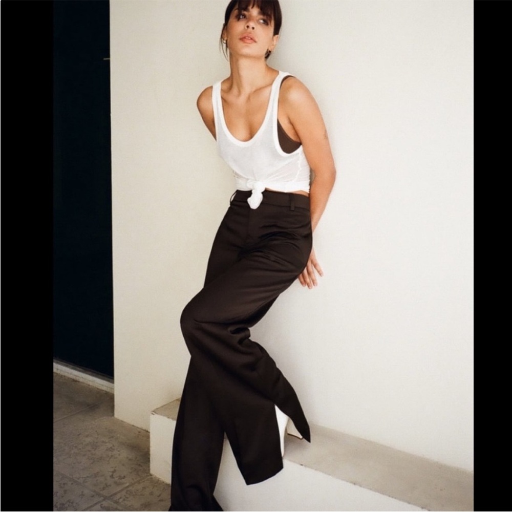 Zara Dark Brown Satin Pants